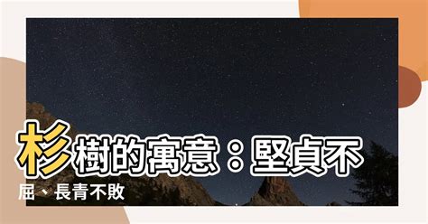 杉 寓意|杉的象徵：自然之靈韻